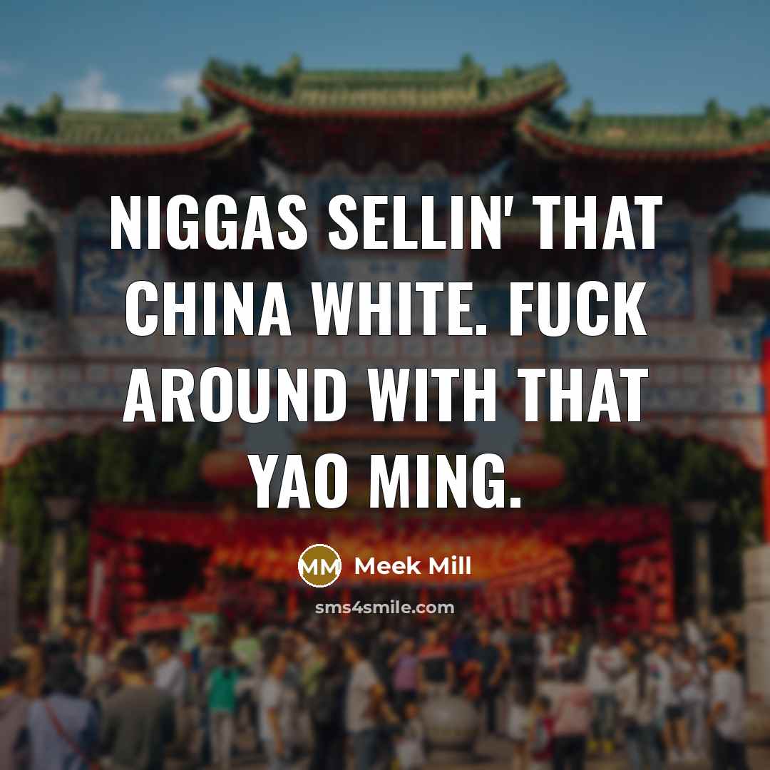 “Niggas sellin' that China white. Fuck around with that Yao Ming.” quote by Meek Mill