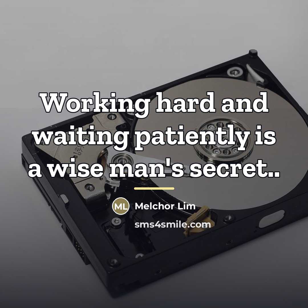 “Working hard and waiting patiently is a wise man's secret..…” quote by Melchor Lim