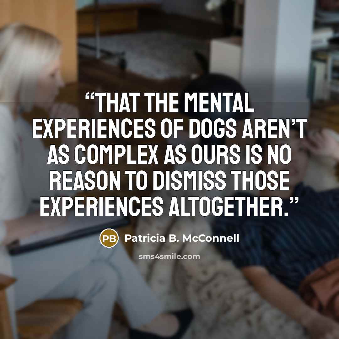 “That the mental experiences of dogs aren’t as complex as ours is no reason to dismiss those experiences altogether.” quote by Patricia B. McConnell