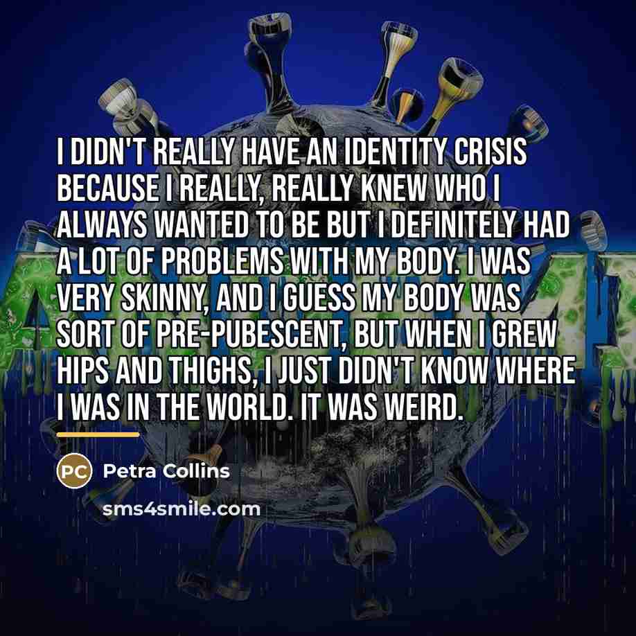 “I didn't really have an identity crisis because I really,…” quote by Petra Collins