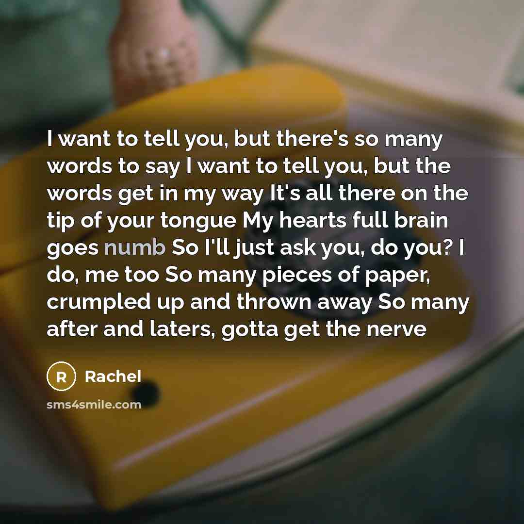 “I want to tell you, but there's so many words…” quote by Rachel