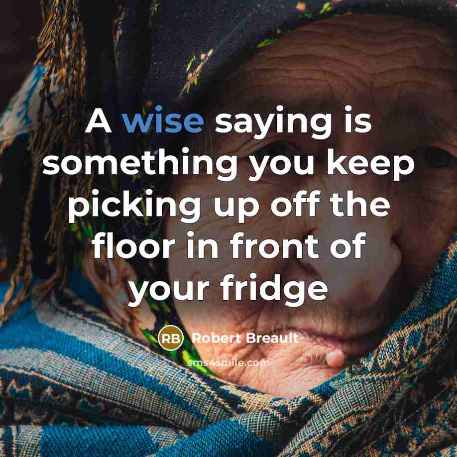“A wise saying is something you keep picking up off the floor in front of your fridge” quote by Robert Breault
