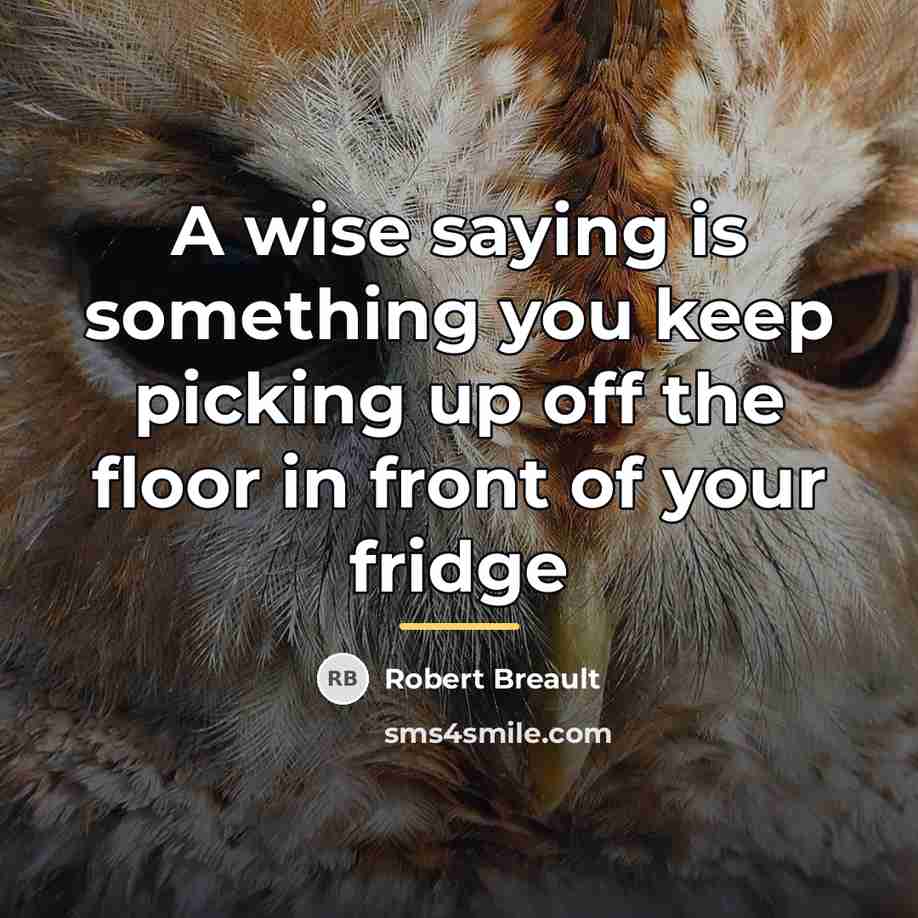 “A wise saying is something you keep picking up off…” quote by Robert Breault