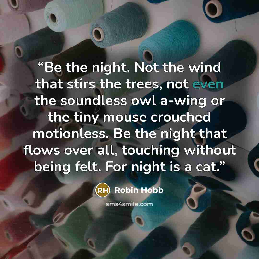 “Be the night. Not the wind that stirs the trees, not even the soundless owl a-wing or the tiny mouse crouched motionless. Be the night that flows over all, touching without being felt. For night is a cat.” quote by Robin Hobb