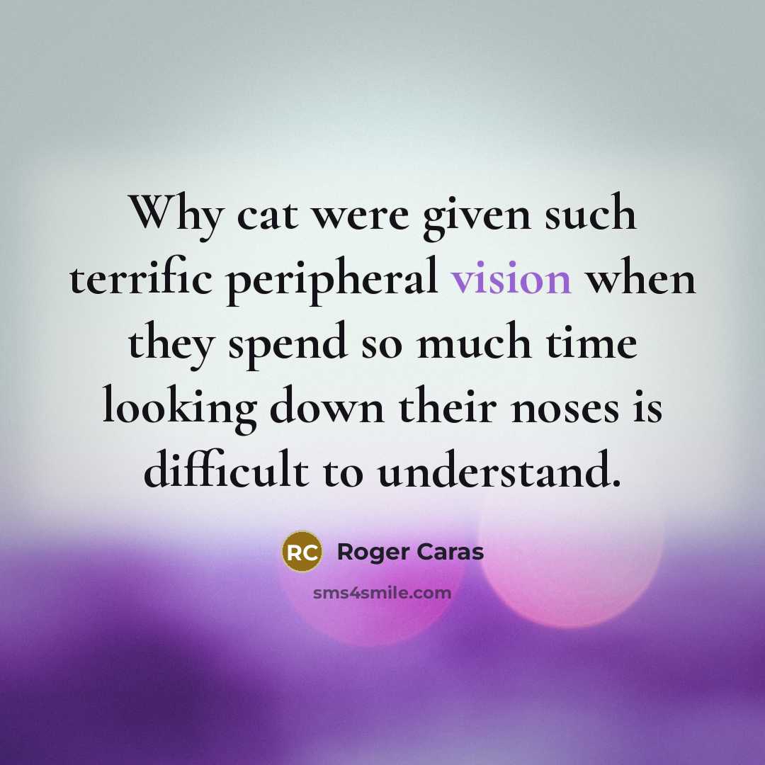 “Why cat were given such terrific peripheral vision when they…” quote by Roger Caras