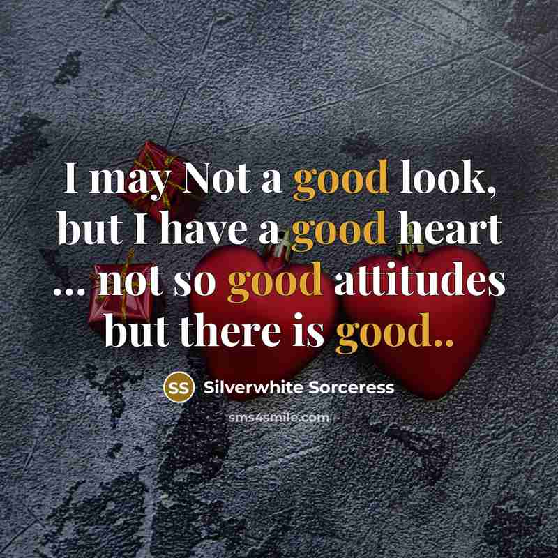 “I may Not a good look, but I have a good heart … not so good attitudes but there is good..” quote by Silverwhite Sorceress