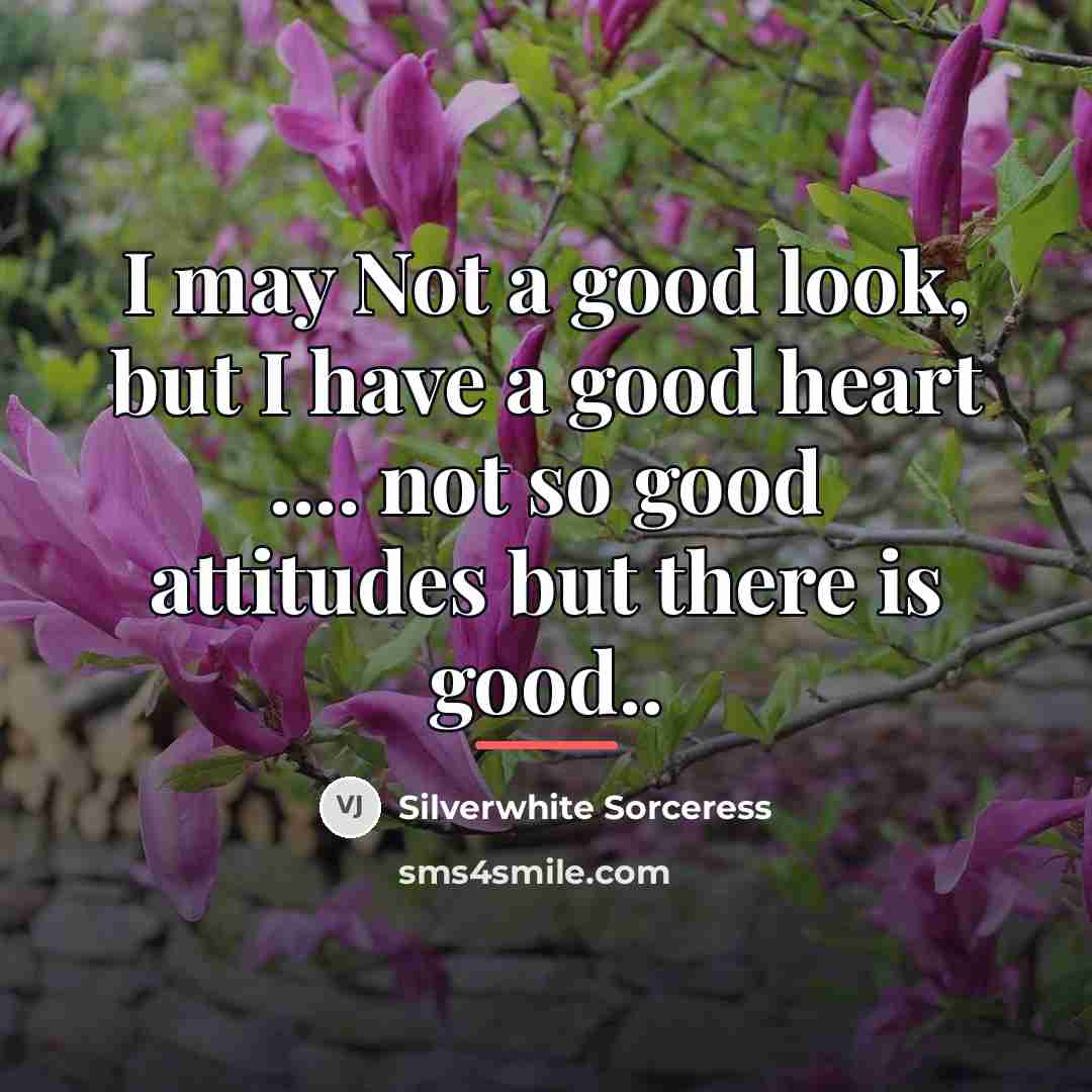 “I may Not a good look, but I have a…” quote by Silverwhite Sorceress