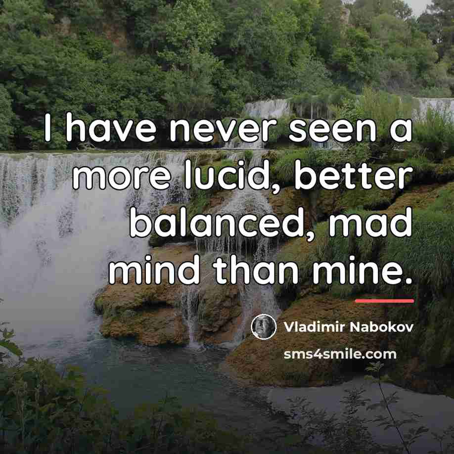 “I have never seen a more lucid, better balanced, mad…” quote by Vladimir Nabokov