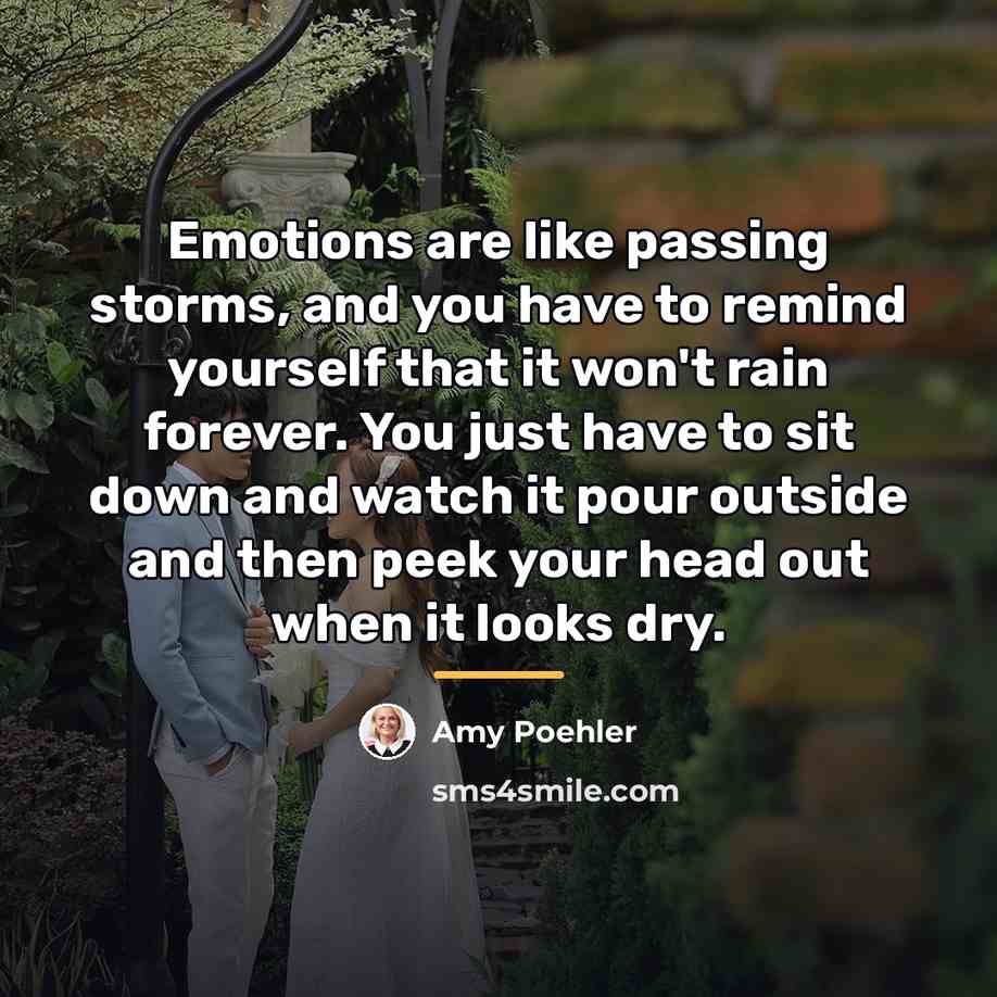 “Emotions are like passing storms, and you have to remind…” quote by Amy Poehler