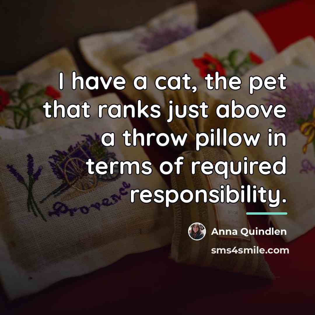 “I have a cat, the pet that ranks just above…” quote by Anna Quindlen