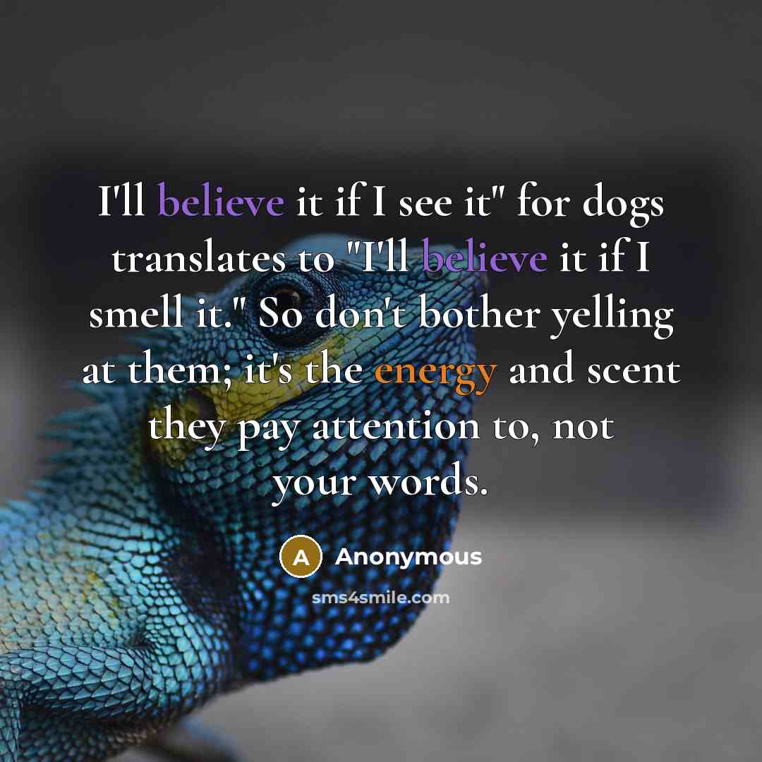 “I'll believe it if I see it" for dogs translates to "I'll believe it if I smell it." So don't bother yelling at them; it's the energy and scent they pay attention to, not your words.” quote by Anonymous