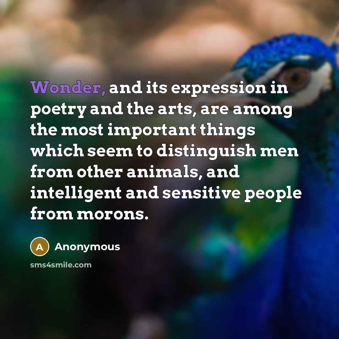 “Wonder, and its expression in poetry and the arts, are…” quote by Anonymous