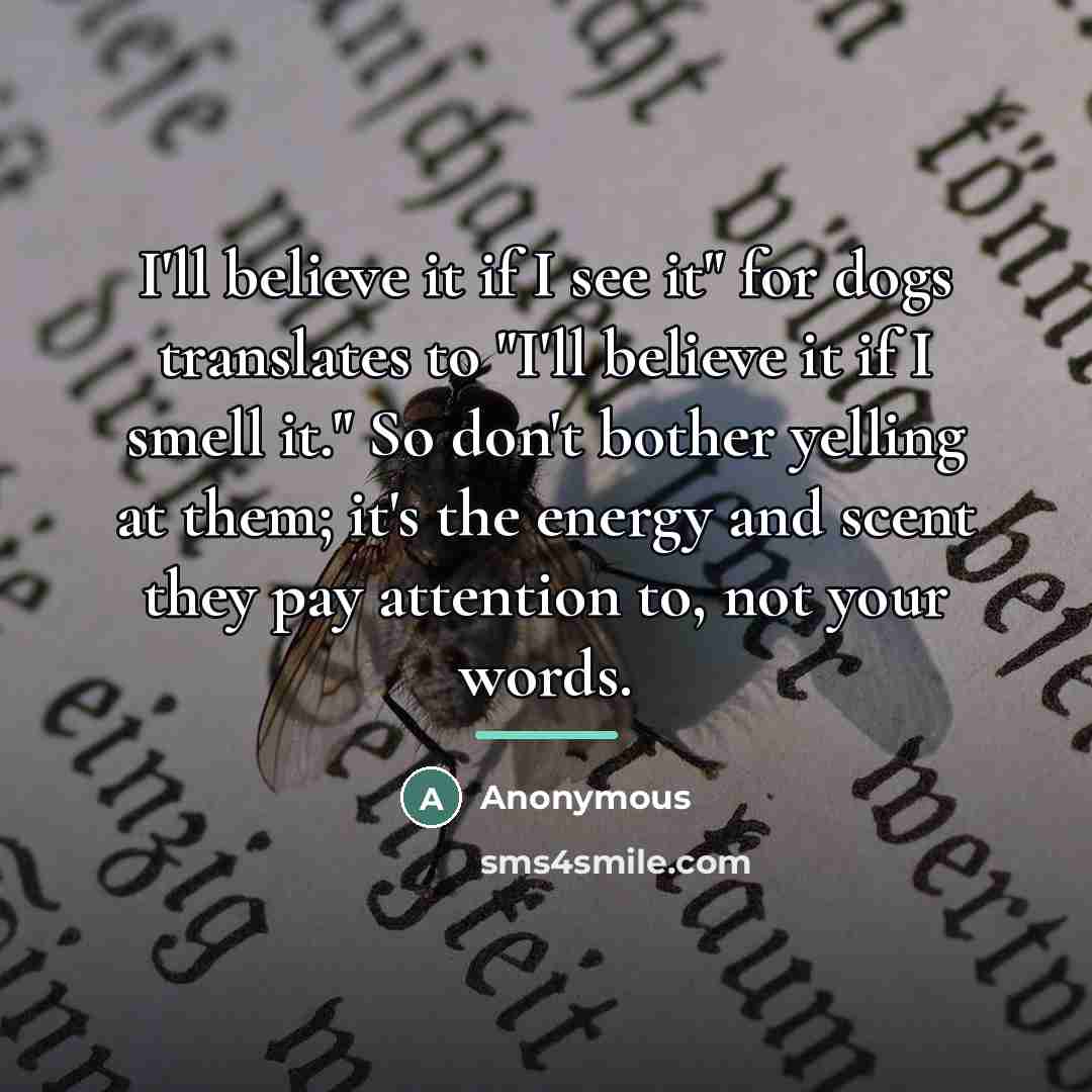 “I'll believe it if I see it" for dogs translates…” quote by Anonymous