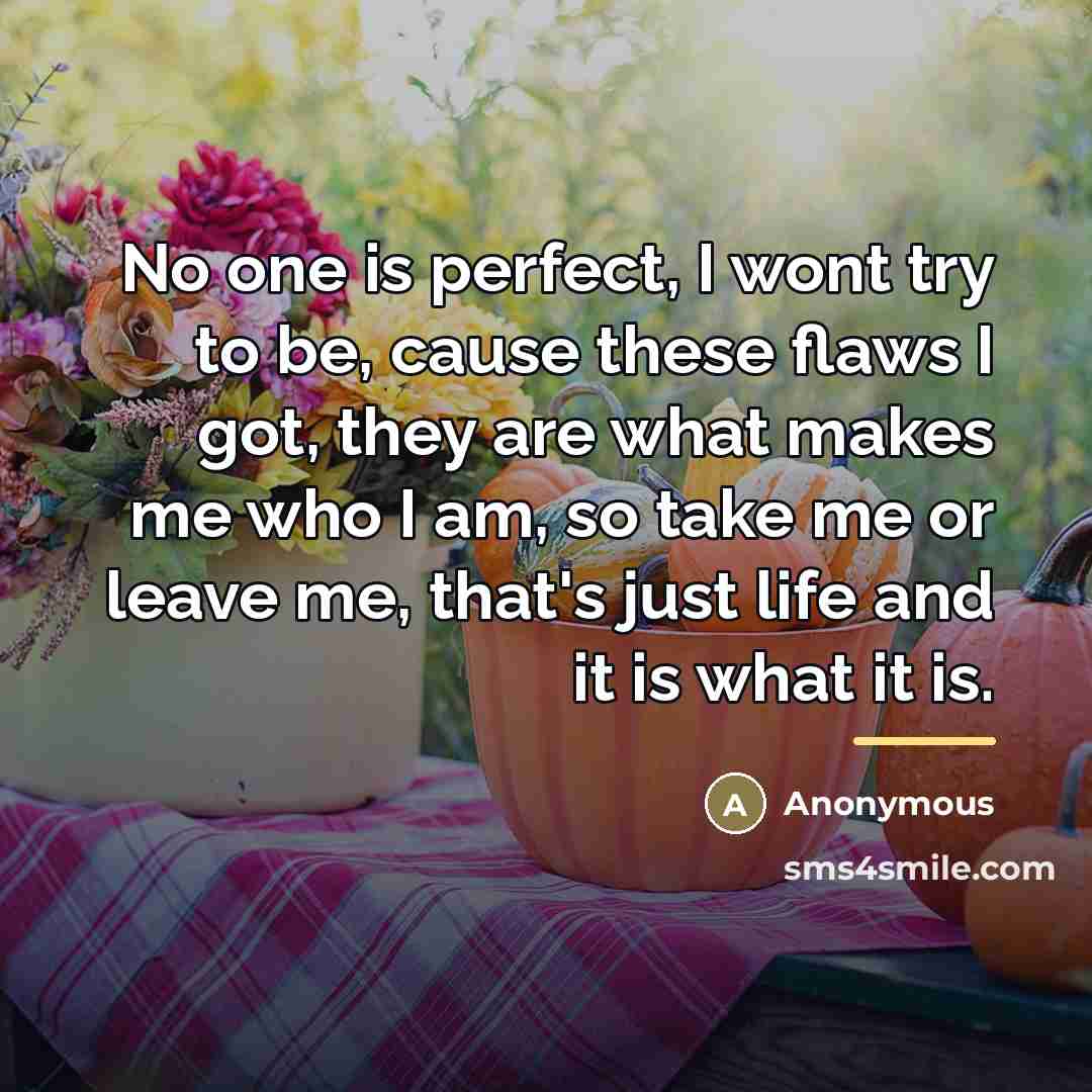 “No one is perfect, I wont try to be, cause…” quote by Anonymous