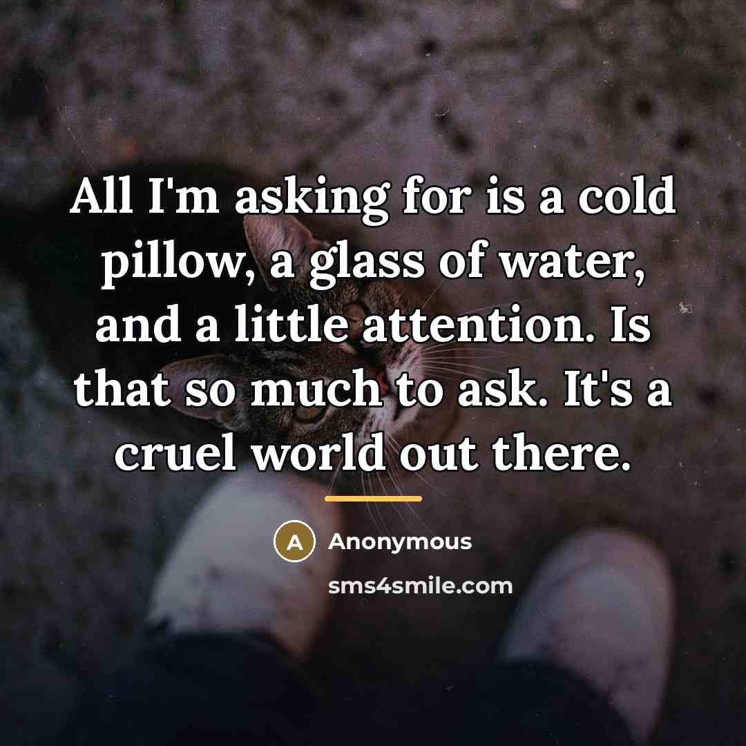 “All I'm asking for is a cold pillow, a glass…” quote by Anonymous