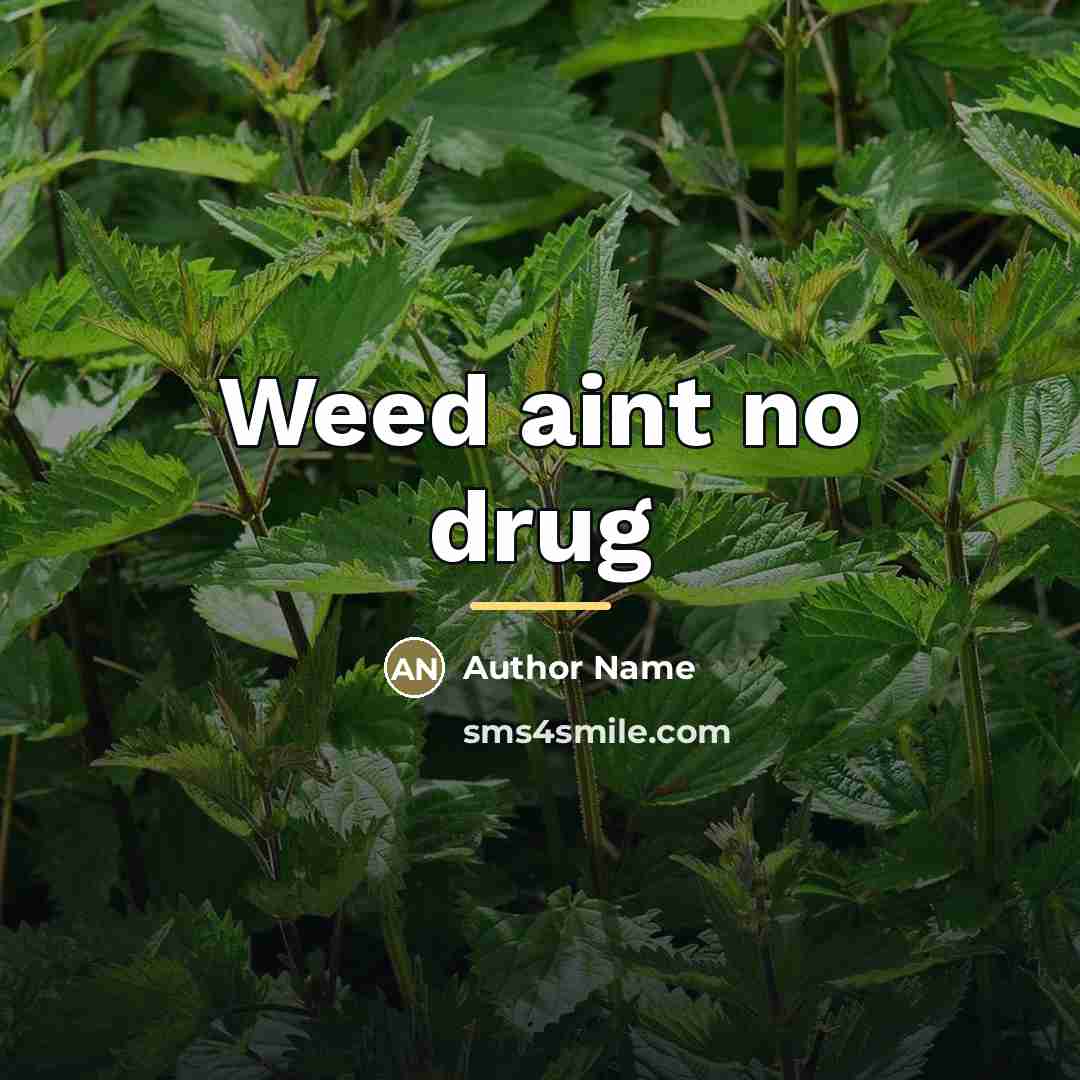 “Weed aint no drug…” quote by Author Name