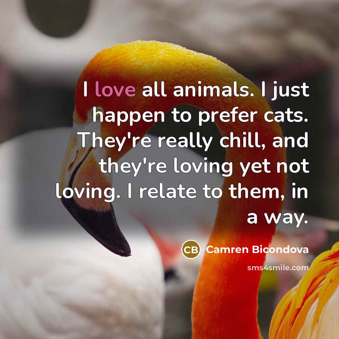 “I love all animals. I just happen to prefer cats.…” quote by Camren Bicondova
