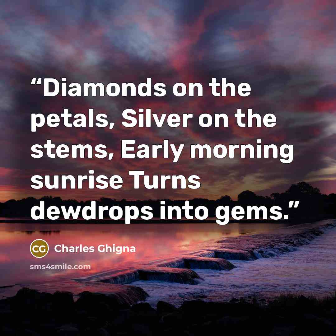 “Diamonds on the petals, Silver on the stems, Early morning sunrise Turns dewdrops into gems.” quote by Charles Ghigna