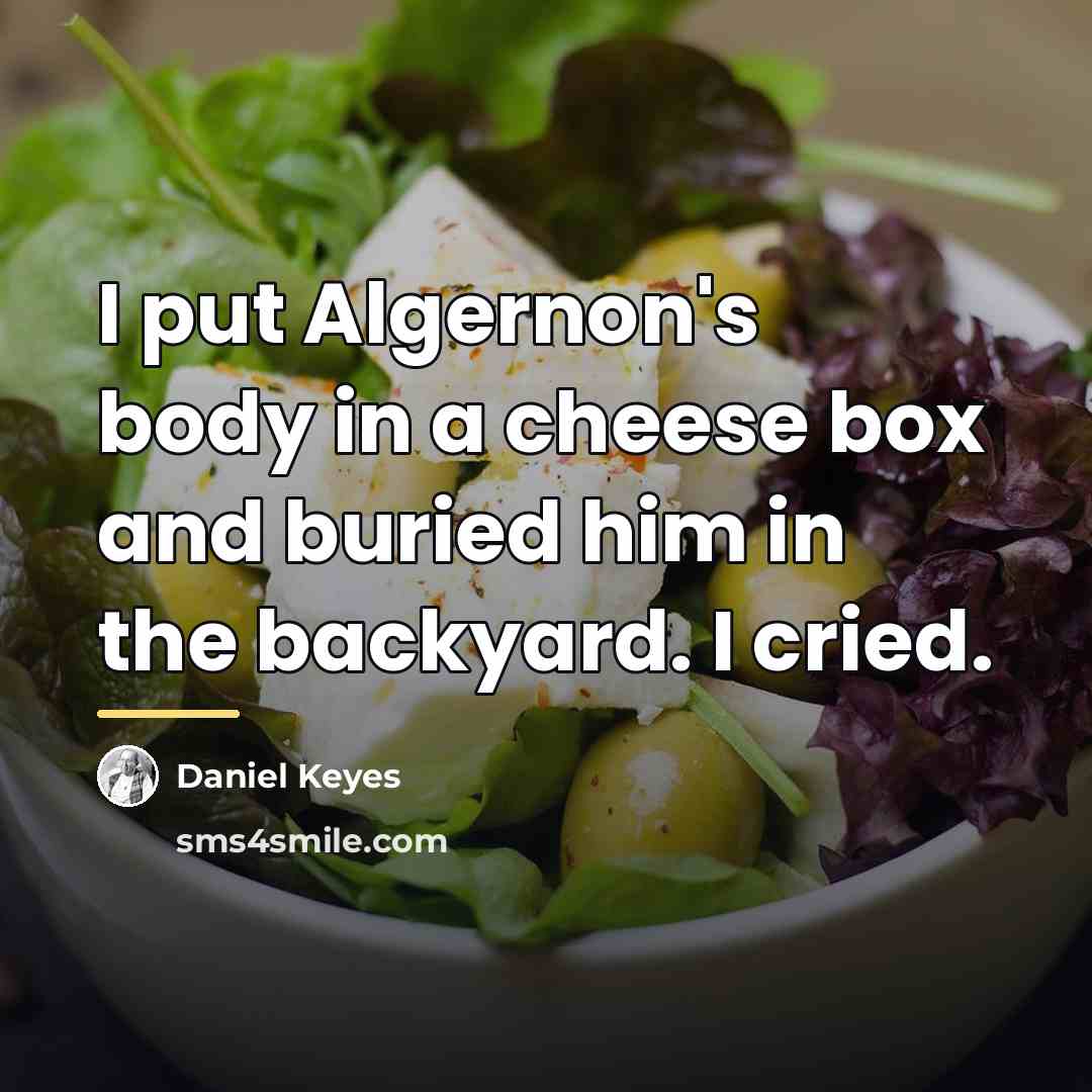“I put Algernon's body in a cheese box and buried…” quote by Daniel Keyes