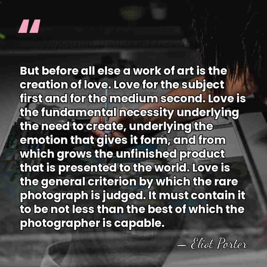 But before all else a work of art is the creation of&hellip; - Eliot Porter