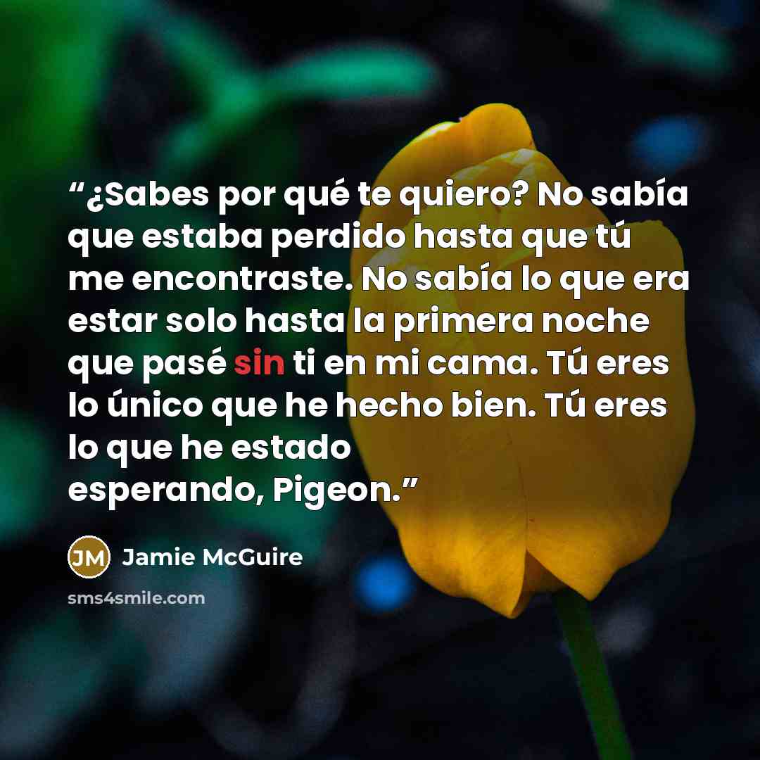 “¿Sabes por qué te quiero? No sabía que estaba perdido hasta que tú me encontraste. No sabía lo que era estar solo hasta la primera noche que pasé sin ti en mi cama. Tú eres lo único que he hecho bien. Tú eres lo que he estado esperando, Pigeon.” quote by Jamie McGuire