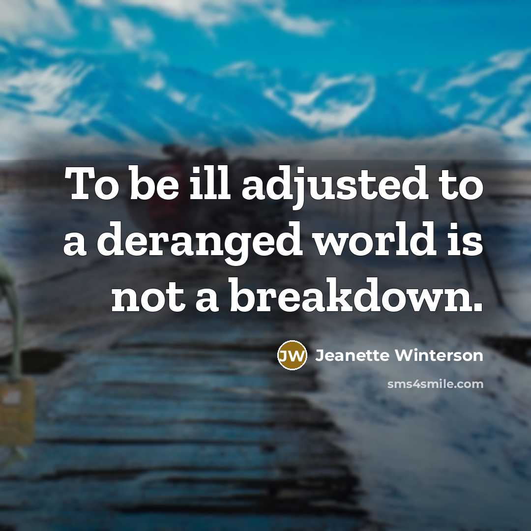 “To be ill adjusted to a deranged world is not a breakdown.” quote by Jeanette Winterson