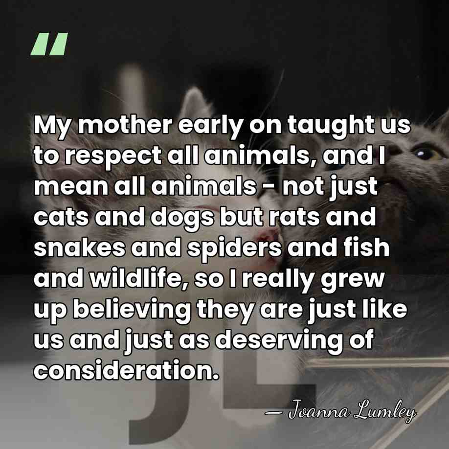 My mother early on taught us to respect all animals, and I&hellip; - Joanna Lumley