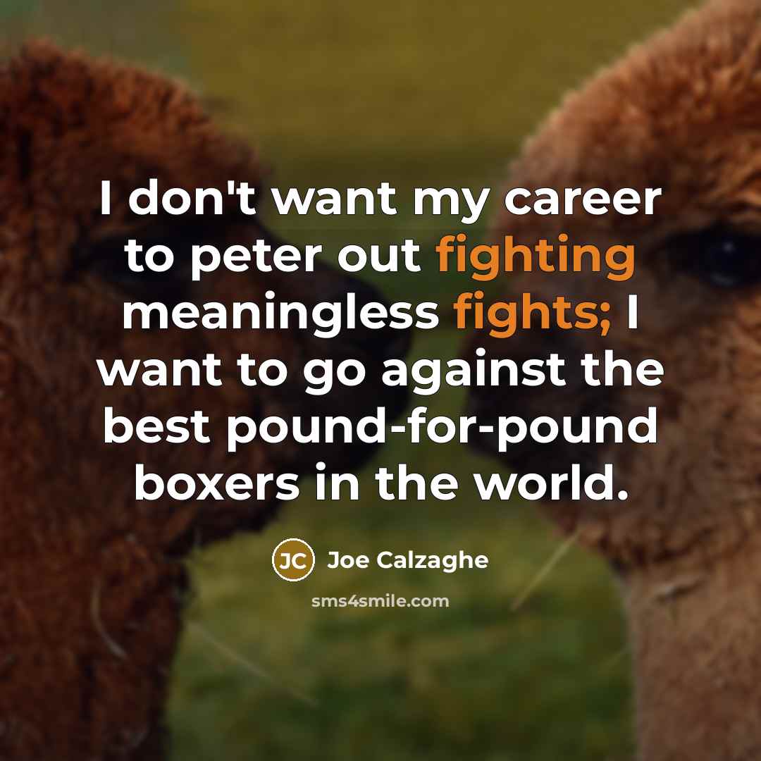“I don't want my career to peter out fighting meaningless…” quote by Joe Calzaghe