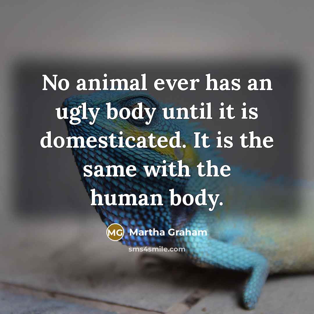“No animal ever has an ugly body until it is…” quote by Martha Graham