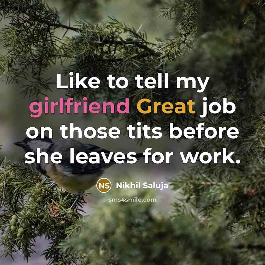 “Like to tell my girlfriend Great job on those tits before she leaves for work.” quote by Nikhil Saluja