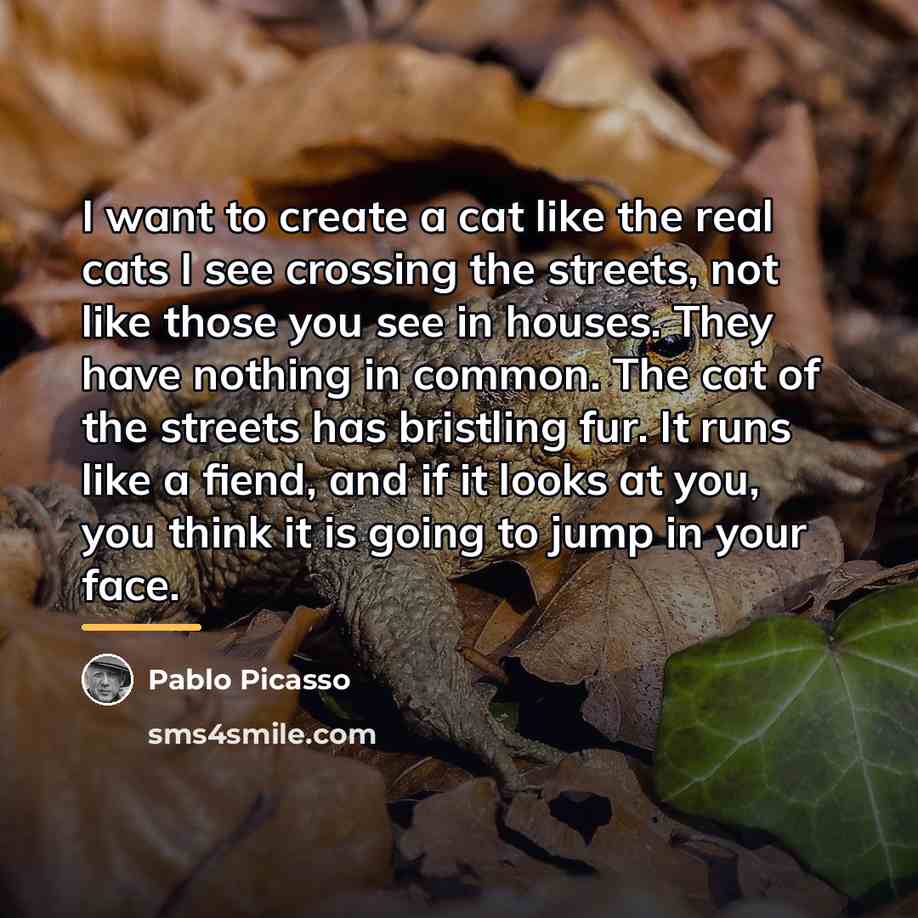“I want to create a cat like the real cats…” quote by Pablo Picasso