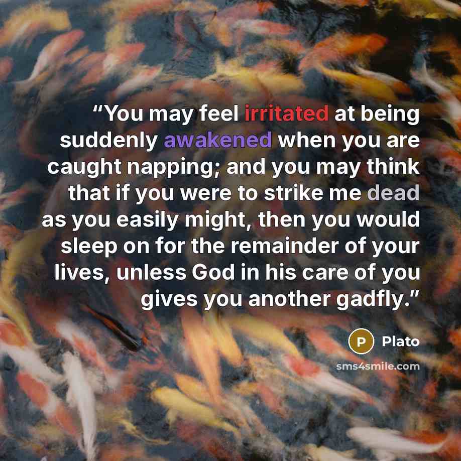 “You may feel irritated at being suddenly awakened when you are caught napping; and you may think that if you were to strike me dead as you easily might, then you would sleep on for the remainder of your lives, unless God in his care of you gives you another gadfly.” quote by Plato