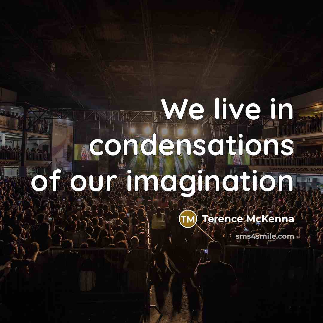 “We live in condensations of our imagination…” quote by Terence McKenna