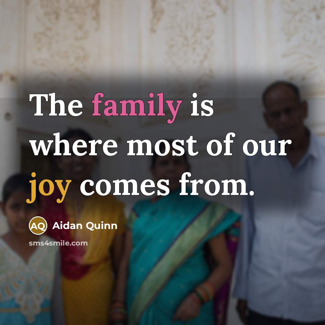 “The family is where most of our joy comes from.” quote by Aidan Quinn