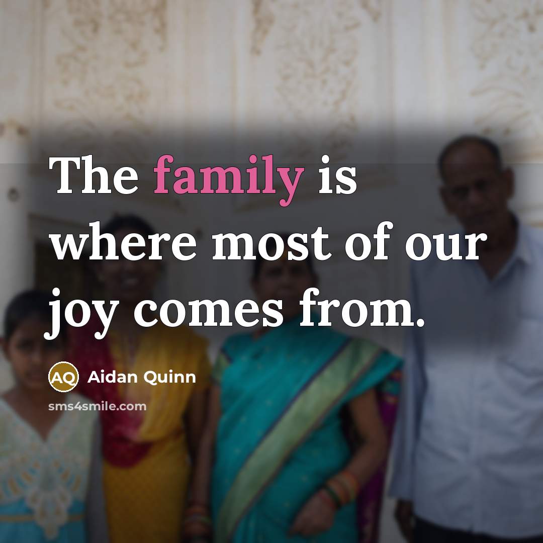 “The family is where most of our joy comes from.…” quote by Aidan Quinn
