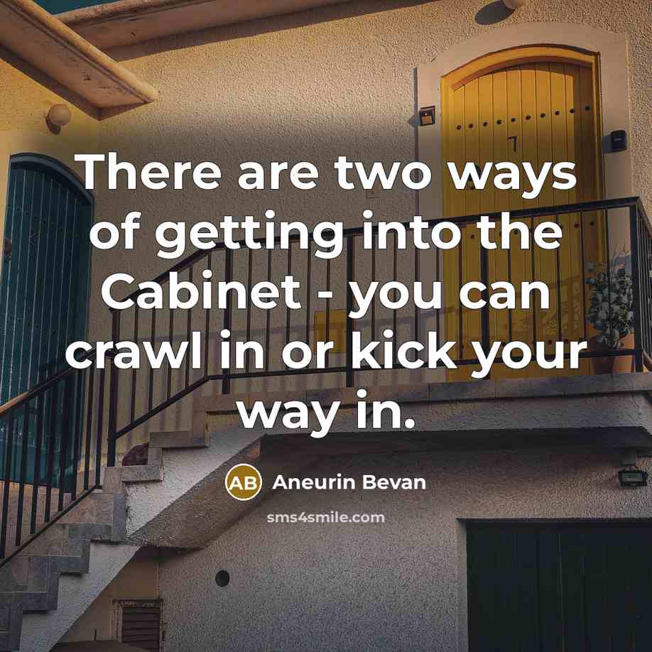 “There are two ways of getting into the Cabinet - you can crawl in or kick your way in.” quote by Aneurin Bevan