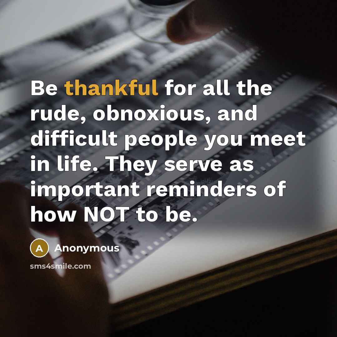 “Be thankful for all the rude, obnoxious, and difficult people…” quote by Anonymous