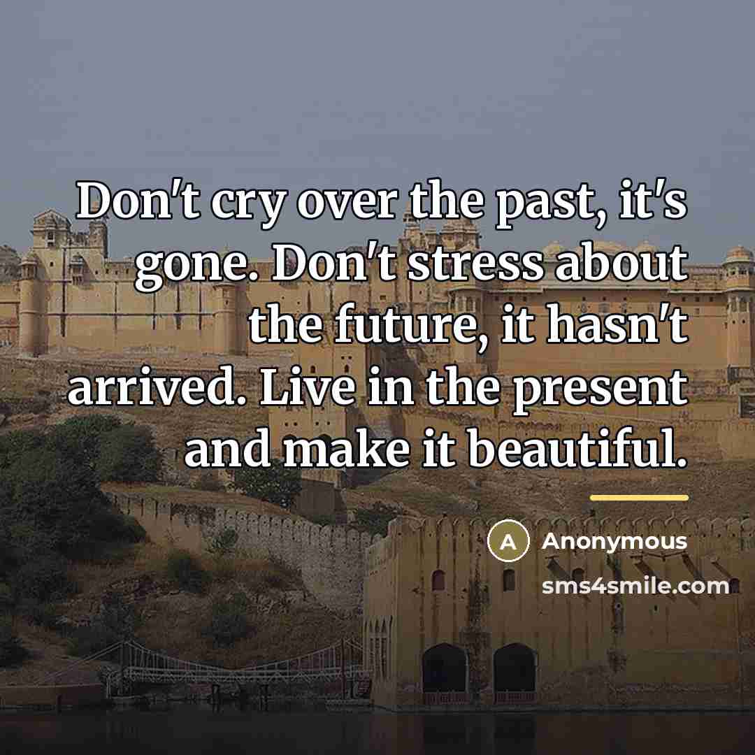 “Don't cry over the past, it's gone. Don't stress about…” quote by Anonymous