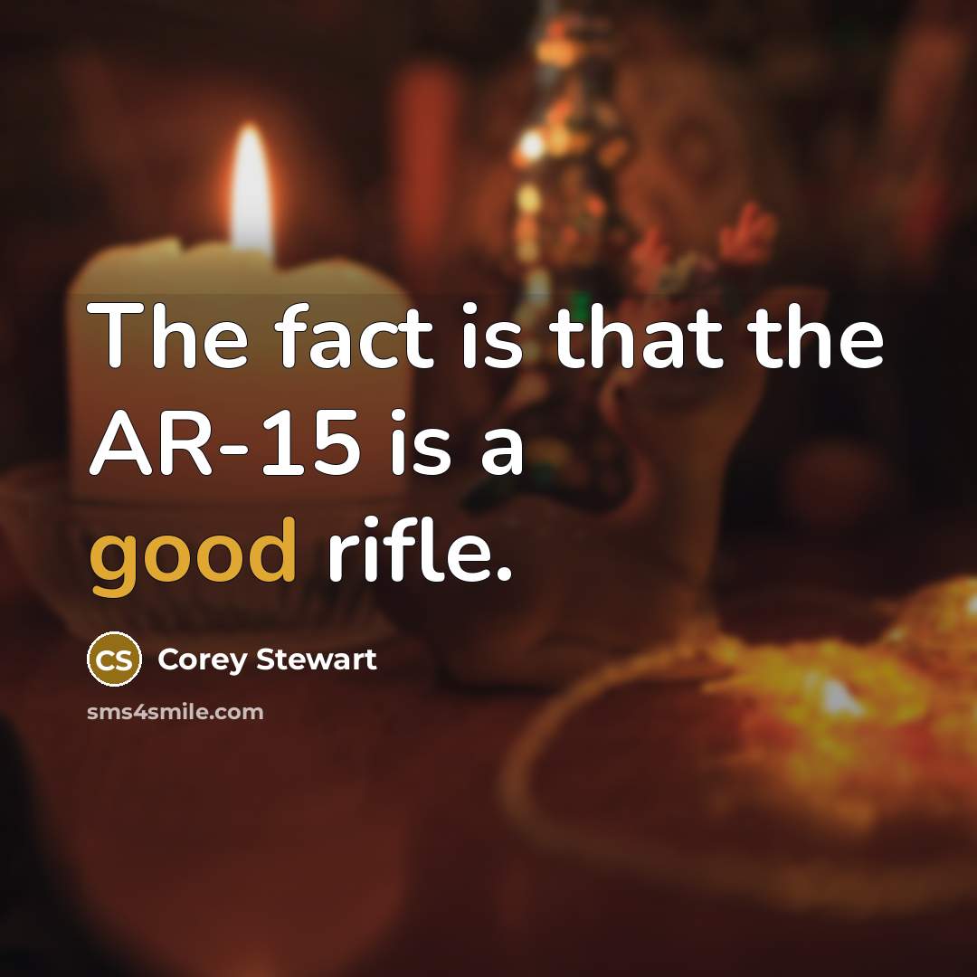 “The fact is that the AR-15 is a good rifle.” quote by Corey Stewart