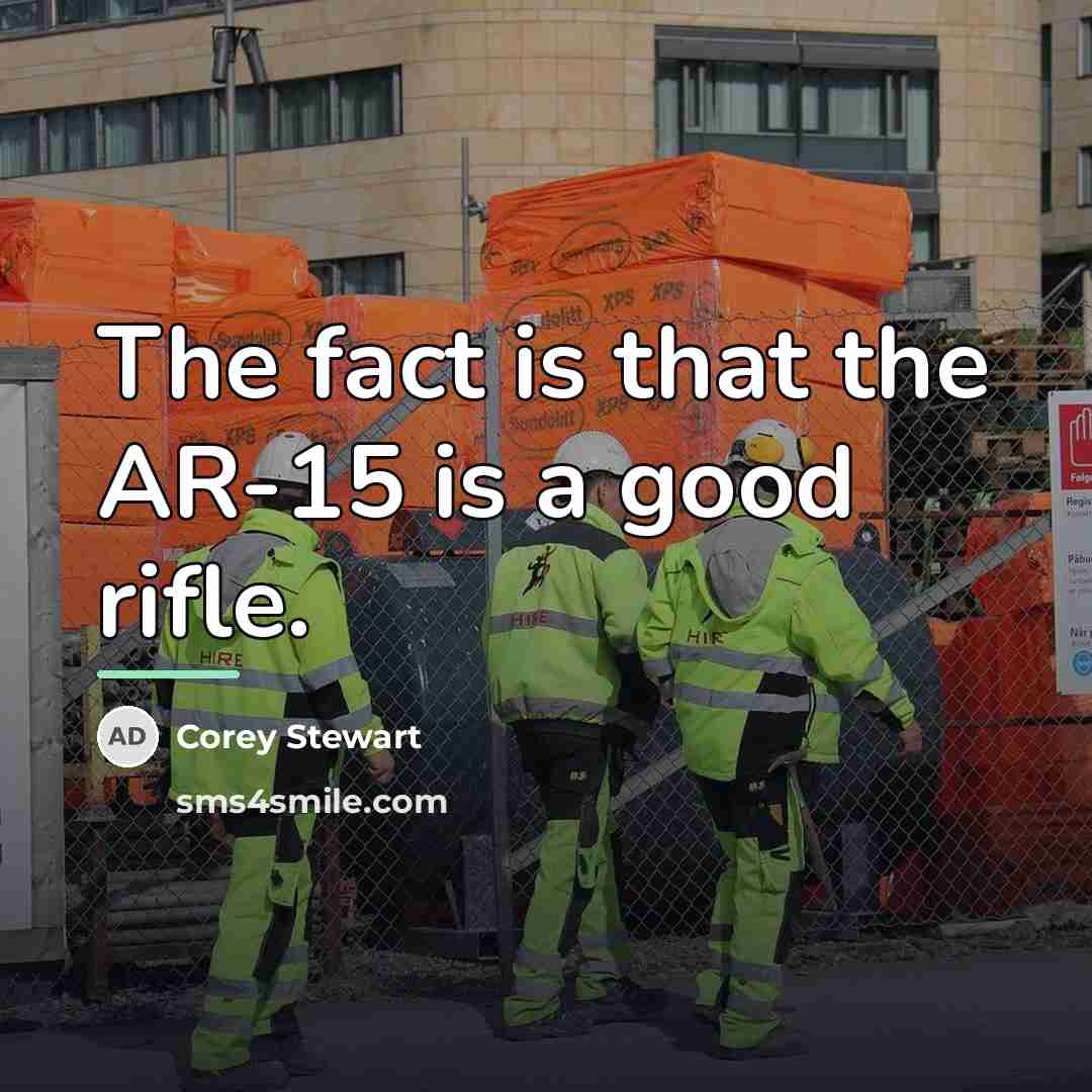 “The fact is that the AR-15 is a good rifle.…” quote by Corey Stewart