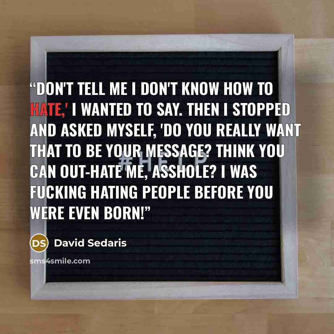 “Don't tell me I don't know how to hate,' I wanted to say. Then I stopped and asked myself, 'Do you really want that to be your message? Think you can out-hate me, asshole? I was fucking hating people before you were even born!” quote by David Sedaris