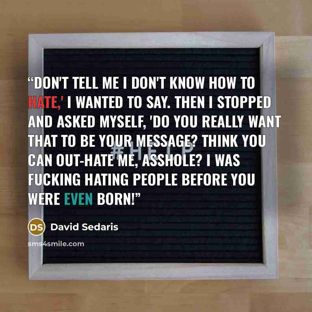 “Don't tell me I don't know how to hate,' I wanted to say. Then I stopped and asked myself, 'Do you really want that to be your message? Think you can out-hate me, asshole? I was fucking hating people before you were even born!” quote by David Sedaris