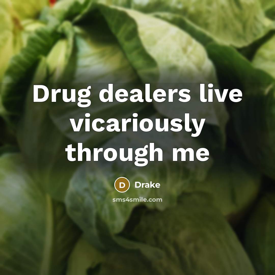 “Drug dealers live vicariously through me…” quote by Drake
