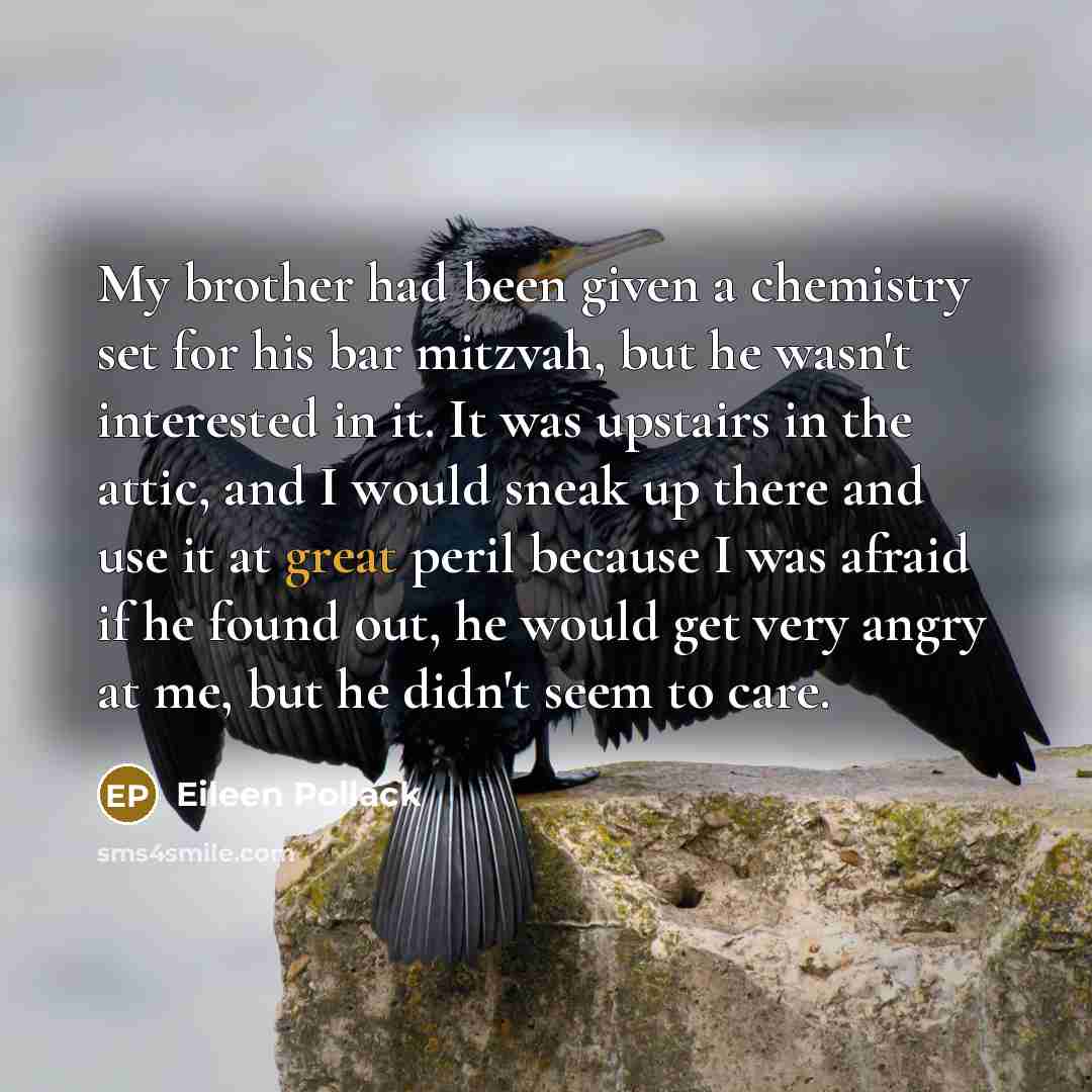 “My brother had been given a chemistry set for his…” quote by Eileen Pollack