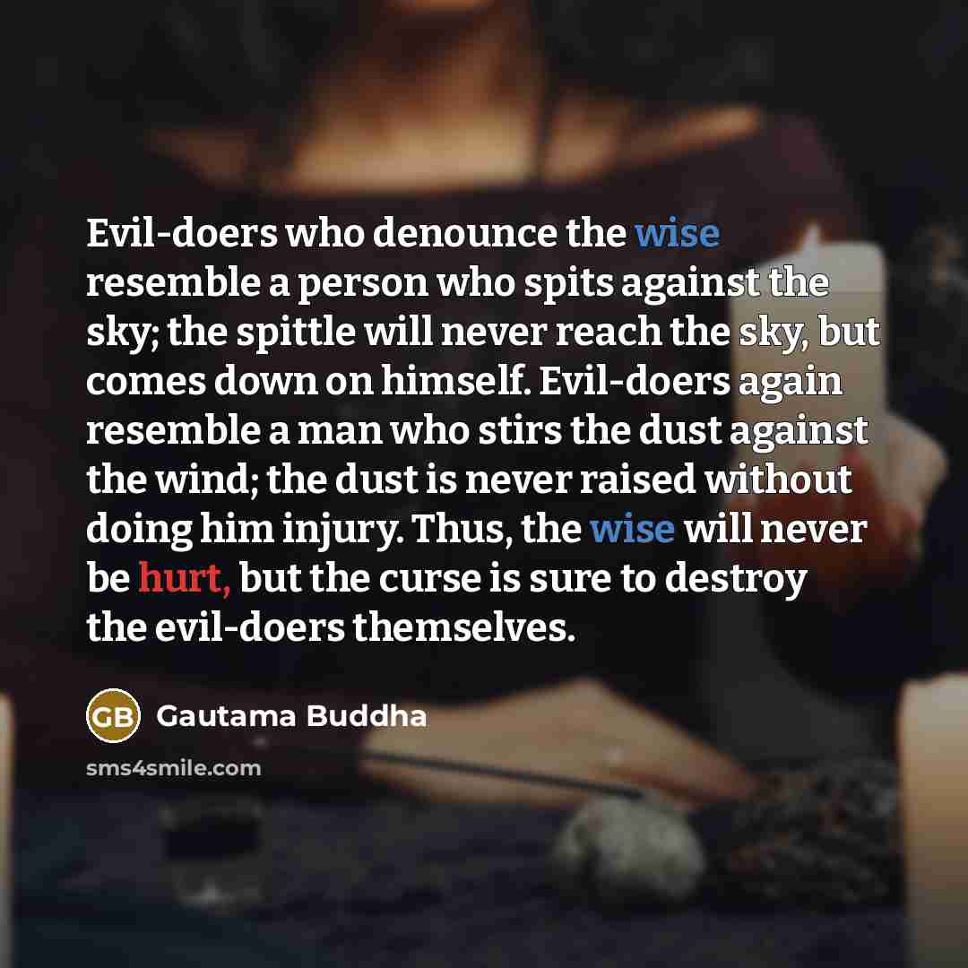 “Evil-doers who denounce the wise resemble a person who spits…” quote by Gautama Buddha