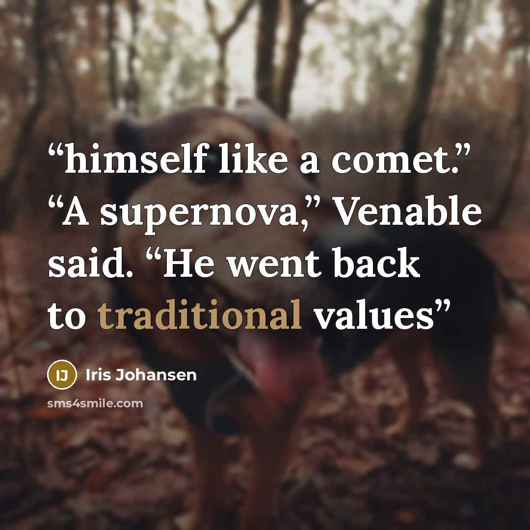 “himself like a comet.” “A supernova,” Venable said. “He went back to traditional values” quote by Iris Johansen