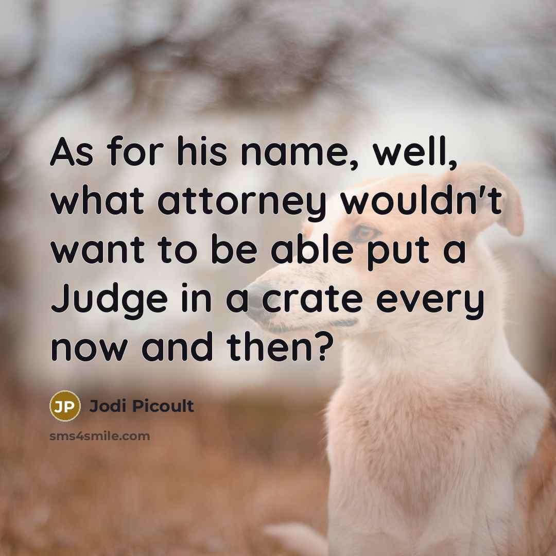 “As for his name, well, what attorney wouldn't want to…” quote by Jodi Picoult