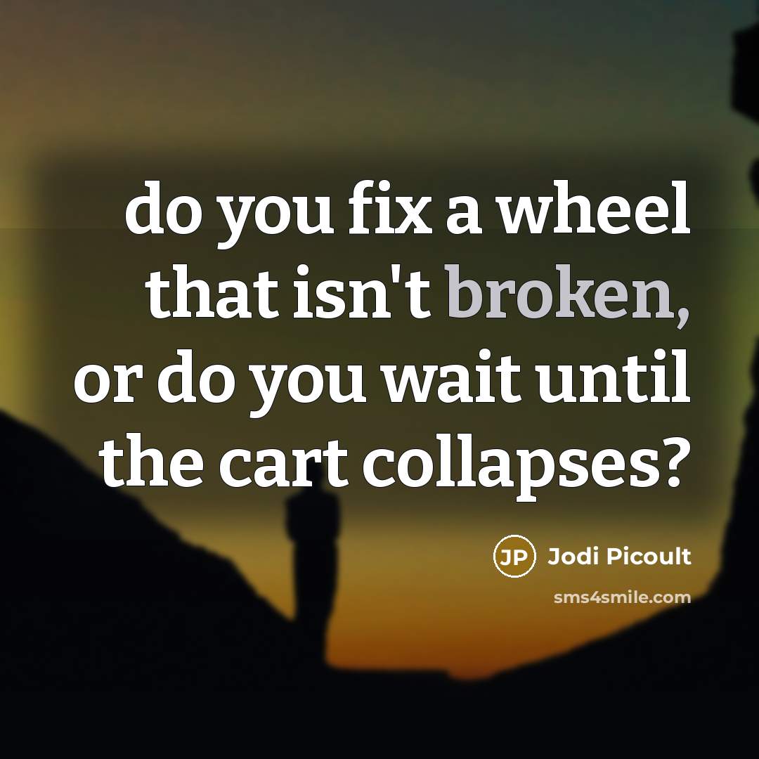 “do you fix a wheel that isn't broken, or do…” quote by Jodi Picoult