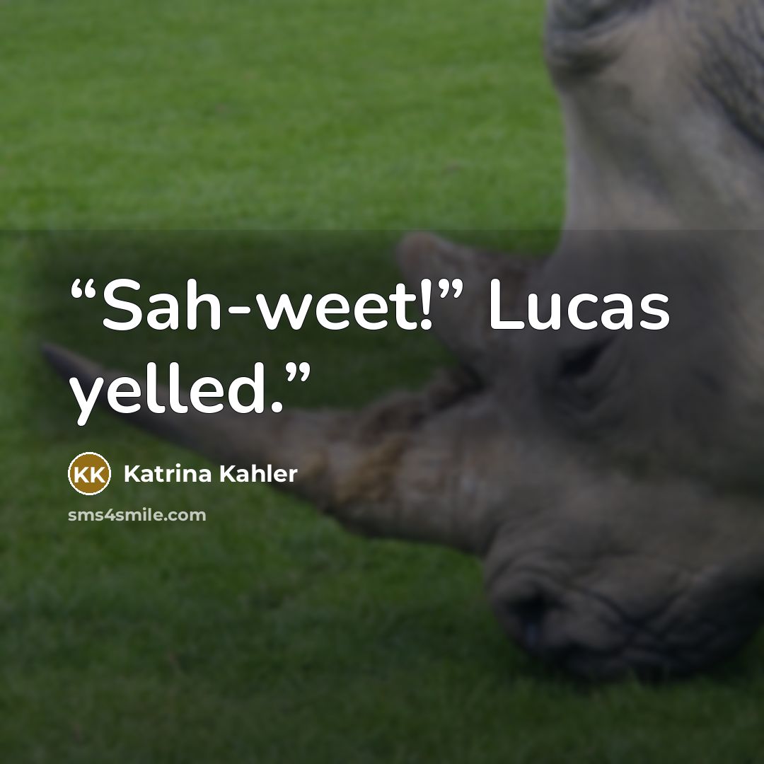 “Sah-weet!” Lucas yelled.” quote by Katrina Kahler