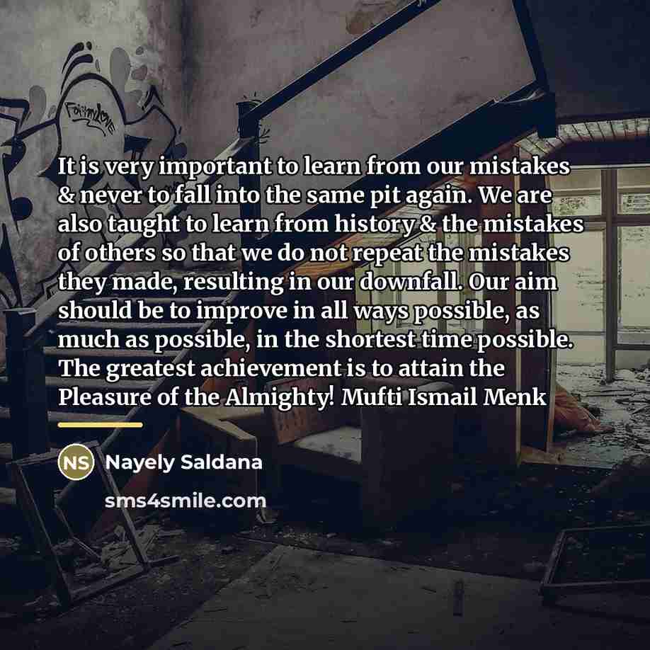 “It is very important to learn from our mistakes &…” quote by Nayely Saldana